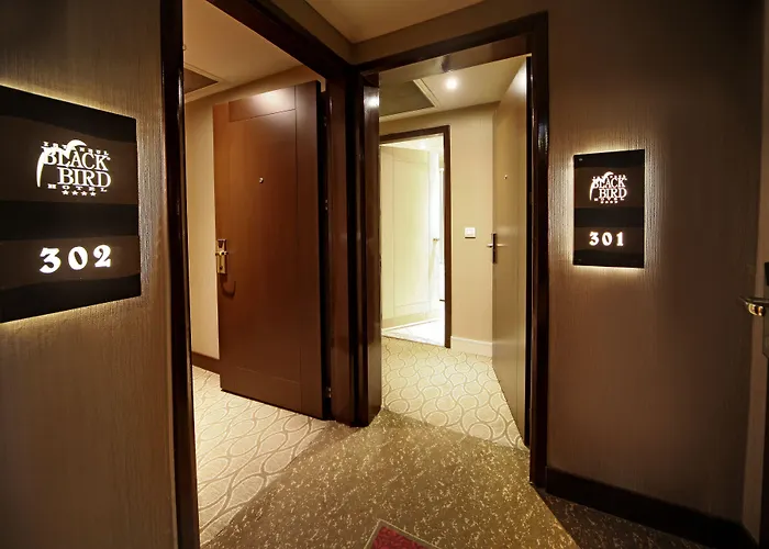 Hotel Black Bird Hotel Istanbul
