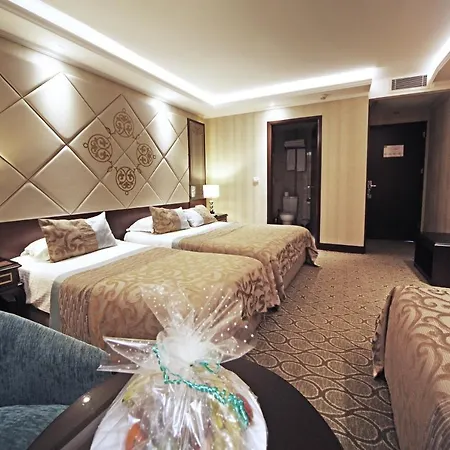 The Parma Downtown 4*