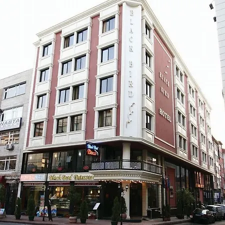 Black Bird Hotel